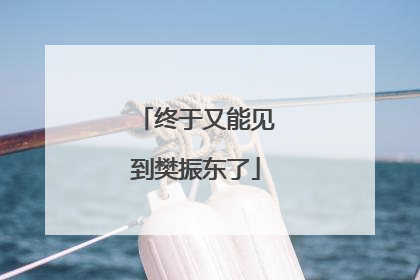 终于又能见到樊振东了