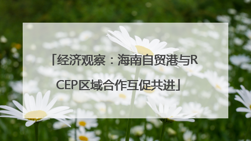 经济观察：海南自贸港与RCEP区域合作互促共进