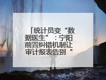 统计员变“数据医生”：宁阳前置纠错机制让审计报表告别“带病上岗”