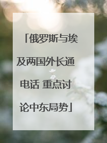 俄罗斯与埃及两国外长通电话 重点讨论中东局势