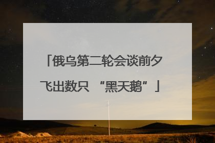 俄乌第二轮会谈前夕 飞出数只 “黑天鹅”