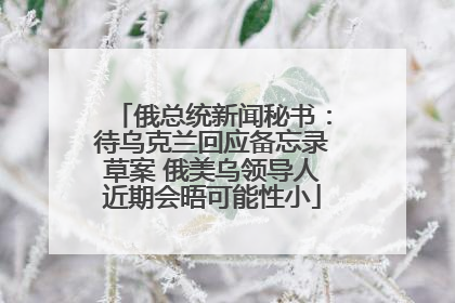 俄总统新闻秘书：待乌克兰回应备忘录草案 俄美乌领导人近期会晤可能性小
