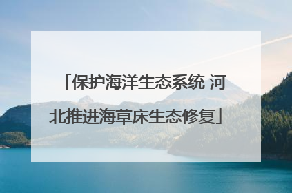保护海洋生态系统 河北推进海草床生态修复