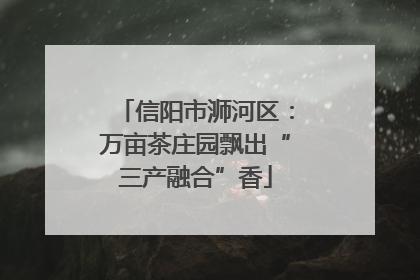 信阳市浉河区：万亩茶庄园飘出“三产融合”香