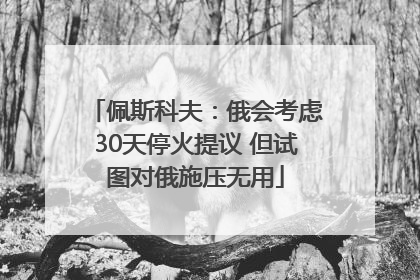 佩斯科夫：俄会考虑30天停火提议 但试图对俄施压无用