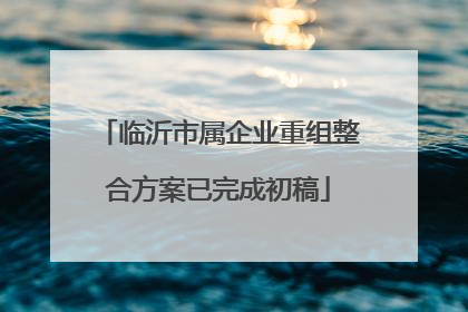 临沂市属企业重组整合方案已完成初稿