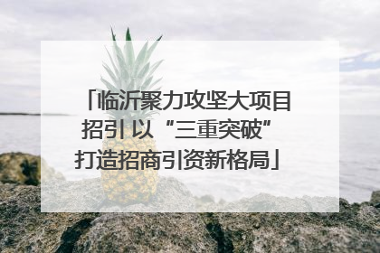 临沂聚力攻坚大项目招引 以“三重突破”打造招商引资新格局