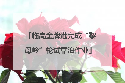 临高金牌港完成“黎母岭”轮试靠泊作业