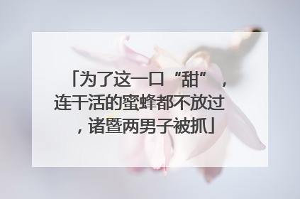 为了这一口“甜”，连干活的蜜蜂都不放过，诸暨两男子被抓