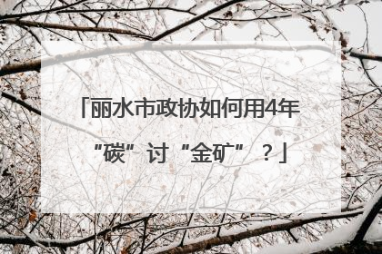 丽水市政协如何用4年“碳”讨“金矿”？