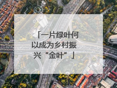 一片绿叶何以成为乡村振兴“金叶”