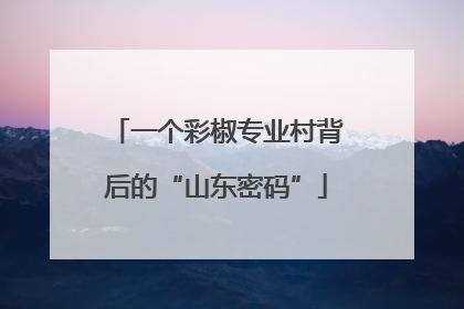 一个彩椒专业村背后的“山东密码”
