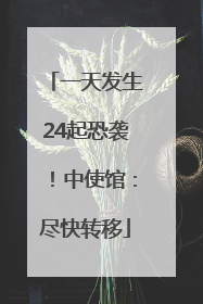 一天发生24起恐袭！中使馆：尽快转移