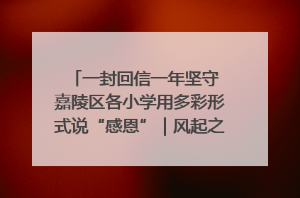一封回信一年坚守 嘉陵区各小学用多彩形式说“感恩”｜风起之江 扶摇直上