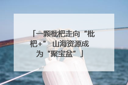 一颗枇杷走向“枇杷+” 山海资源成为“聚宝盆”
