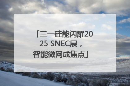 三一硅能闪耀2025 SNEC展，智能微网成焦点