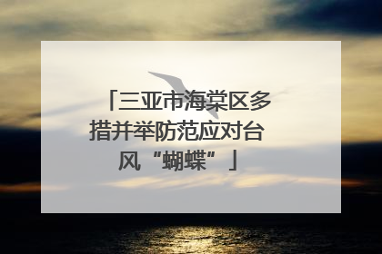三亚市海棠区多措并举防范应对台风“蝴蝶”