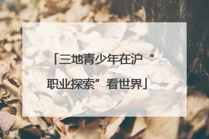 三地青少年在沪“职业探索”看世界
