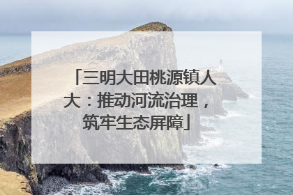 三明大田桃源镇人大：推动河流治理，筑牢生态屏障