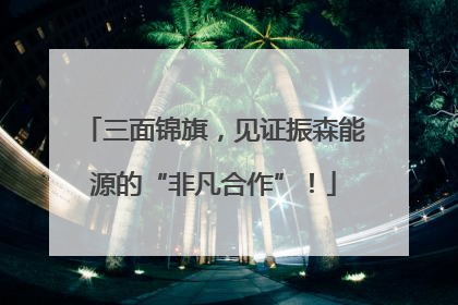 三面锦旗，见证振森能源的“非凡合作”！