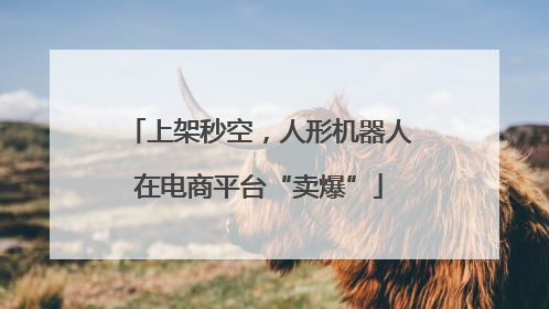 上架秒空，人形机器人在电商平台“卖爆”