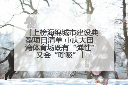 上榜海绵城市建设典型项目清单 重庆大田湾体育场既有“弹性”又会“呼吸”