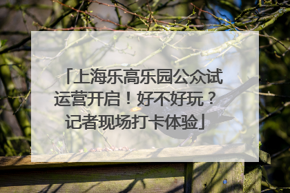 上海乐高乐园公众试运营开启！好不好玩？记者现场打卡体验