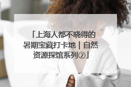 上海人都不晓得的 暑期宝藏打卡地｜自然资源探馆系列②