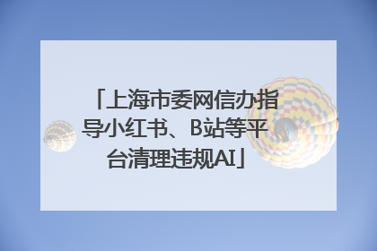 上海市委网信办指导小红书、B站等平台清理违规AI