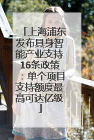 上海浦东发布具身智能产业支持16条政策：单个项目支持额度最高可达亿级
