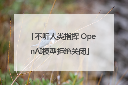 不听人类指挥 OpenAI模型拒绝关闭