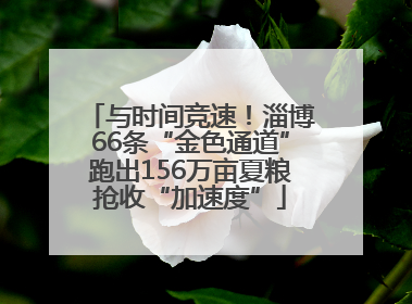 与时间竞速！淄博66条“金色通道”跑出156万亩夏粮抢收“加速度”