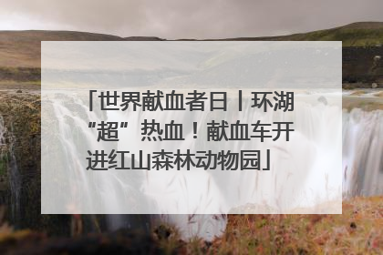 世界献血者日丨环湖“超”热血！献血车开进红山森林动物园