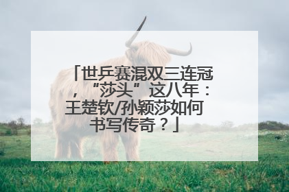 世乒赛混双三连冠，“莎头”这八年：王楚钦/孙颖莎如何书写传奇？