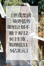 世茂集团：境外债务重组计划不晚于8月29日生效，将削债115亿美元