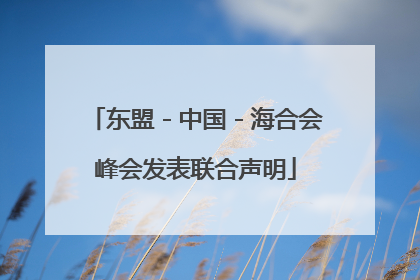 东盟－中国－海合会峰会发表联合声明