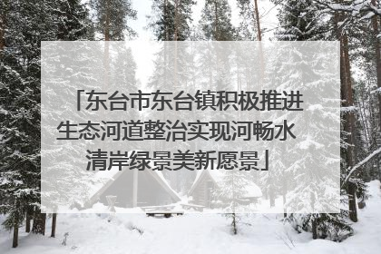 东台市东台镇积极推进生态河道整治实现河畅水清岸绿景美新愿景
