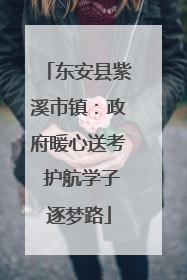 东安县紫溪市镇：政府暖心送考 护航学子逐梦路