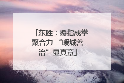 东胜：攥指成拳聚合力 “暖城善治”显真章