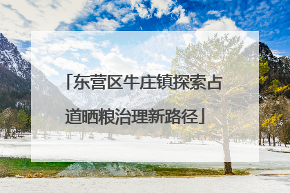 东营区牛庄镇探索占道晒粮治理新路径