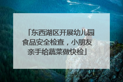 东西湖区开展幼儿园食品安全检查，小朋友亲手给蔬菜做快检