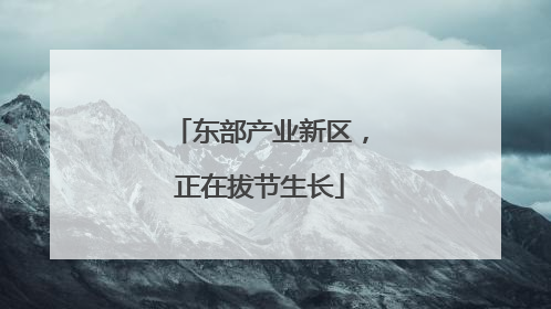 东部产业新区，正在拔节生长