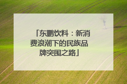 东鹏饮料：新消费浪潮下的民族品牌突围之路