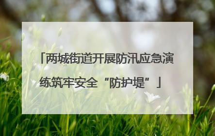 两城街道开展防汛应急演练筑牢安全“防护堤”