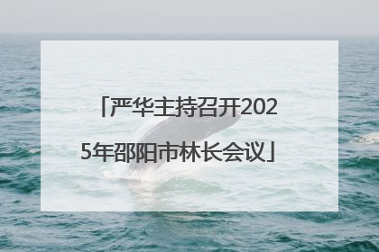 严华主持召开2025年邵阳市林长会议