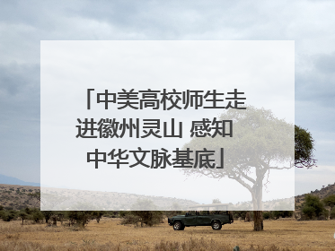 中美高校师生走进徽州灵山 感知中华文脉基底