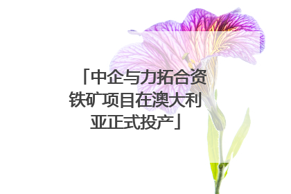 中企与力拓合资铁矿项目在澳大利亚正式投产