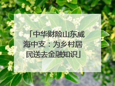 中华财险山东威海中支：为乡村居民送去金融知识
