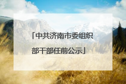 中共济南市委组织部干部任前公示