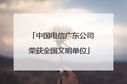 中国电信广东公司荣获全国文明单位